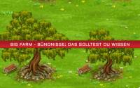 Big Farm - Bündnisse: Das solltest du wissen