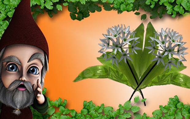 Wurzelimperium - Der fahrende Händler